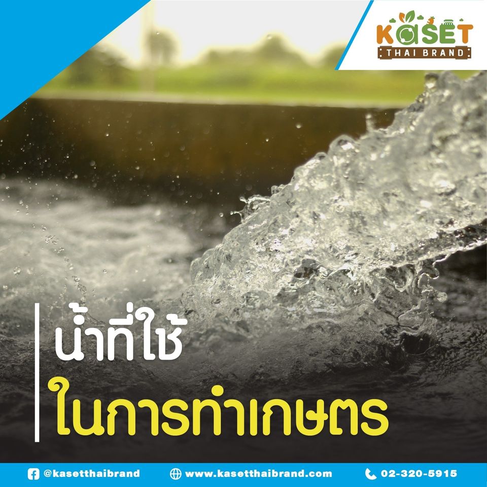 เกษตรออนไลน์